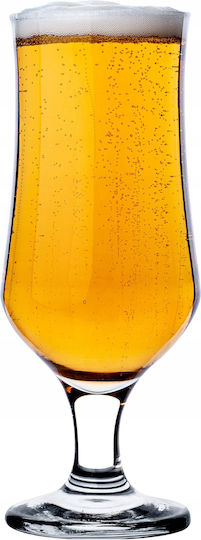 Kadax Beer and Cocktail Glass Set Goblets Glass 360ml 6 Pieces