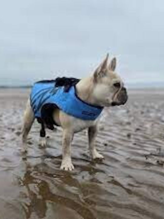 Ezydog Dog Life Jacket DFD X2 Boost Light Blue 3XS (L:23-28cm) (G:36-40cm)