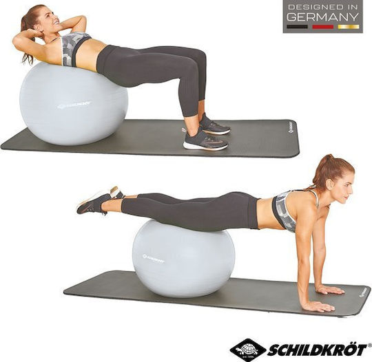 Schildkrot Ball Pilates 55cm in Silber Farbe