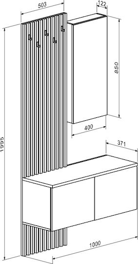 Entry Furniture White/silver 100x37x199.5cm