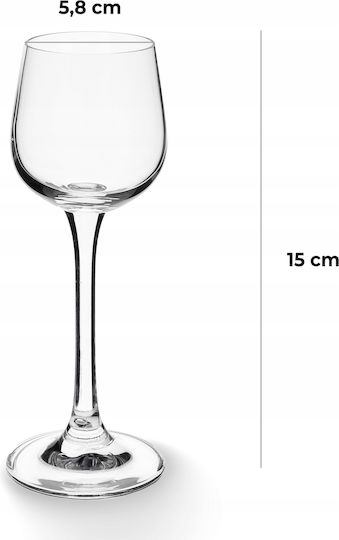 Kadax Σετ Ποτήρια Λικέρ Γυάλινα 60ml 6τμχ
