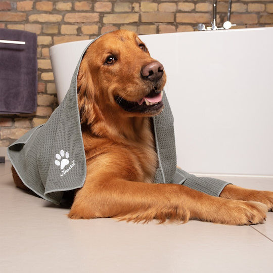 Vileda Pet Pro Towel for Dog Body Cleansing Gray 45x70cm