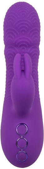 Calexotics Manhattan Beach Marvel Vibrator Rabbit Purple By California Dreaming Κωδικός Προϊόντος D-239981