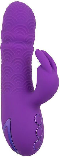 Calexotics Manhattan Beach Marvel Vibrator Rabbit Purple By California Dreaming Κωδικός Προϊόντος D-239981