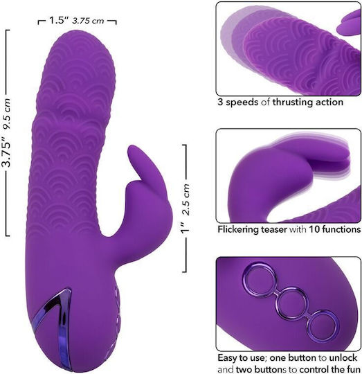 Calexotics Manhattan Beach Marvel Vibrator Rabbit Purple By California Dreaming Κωδικός Προϊόντος D-239981