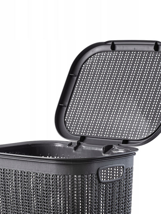 Kadax Coș De Rufe Din Plastic 50L Cu Capac Gri