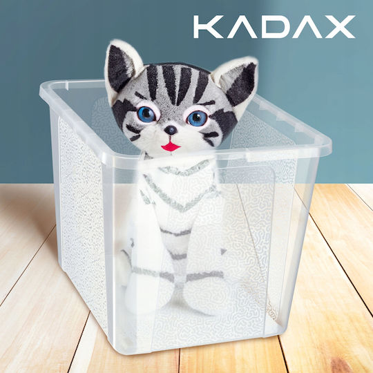 Kadax Kunststoff Aufbewahrungsbox mit Deckel Transparent 30Es 1Stück
