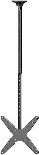 Neomounts FPMA-C340BLACK Fernsehhalterung Decke mit Arm bis 75" und 50kg