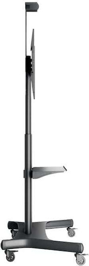 Multibrackets M Public Floorstand Basic 180 Δαπέδου έως 80" και 90kg