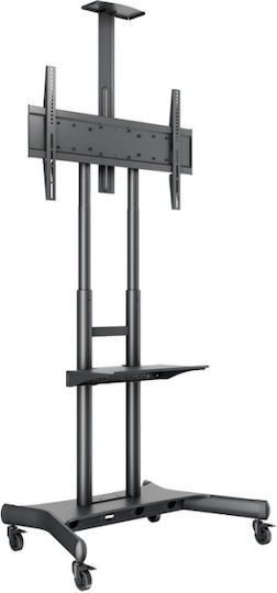 Multibrackets M Public Floorstand Basic 180 Δαπέδου έως 80" και 90kg