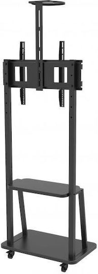 Techly ICA-TR33 Βάση Τηλεόρασης Δαπέδου έως 70" και 50kg
