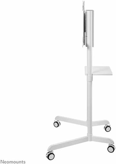 Neomounts NS-M1250 NS-M1250WHITE Стойка за телевизор Подов до 70" и 70кг Бял