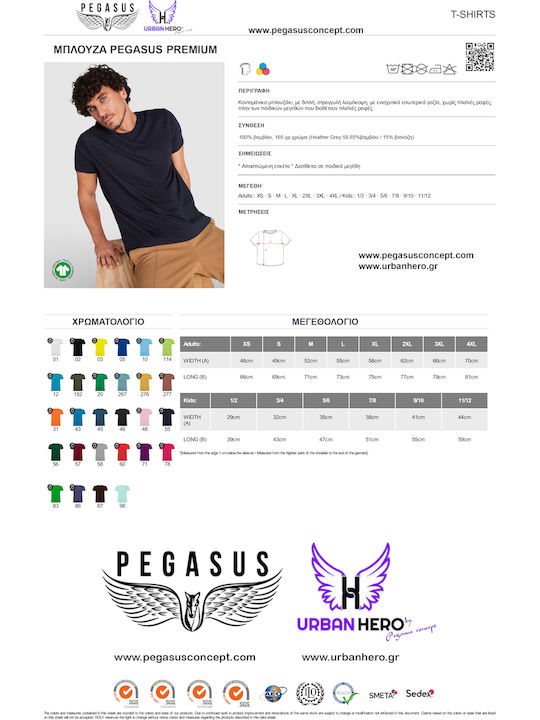 Pegasus Pegasus