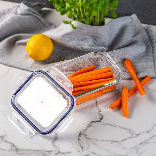 Kadax Lunchbox Glas Transparent 640ml 1Stück