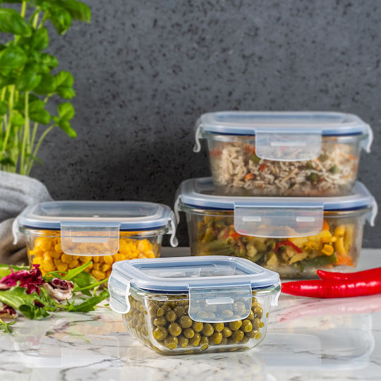 Kadax Glass Lunch Box Transparent 320ml