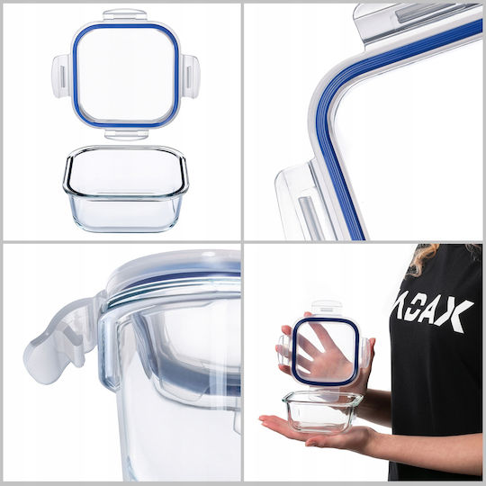 Kadax Glass Lunch Box Transparent 320ml