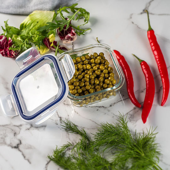Kadax Glass Lunch Box Transparent 320ml