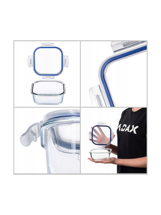 Kadax Glass Lunch Box Transparent 520ml
