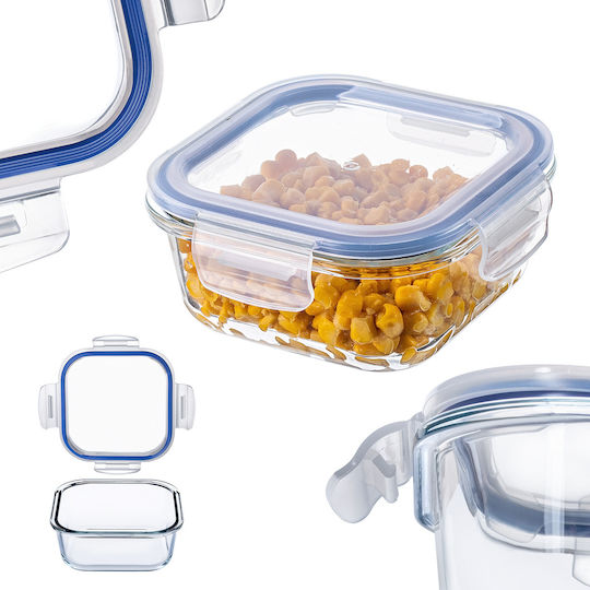 Kadax Glass Lunch Box Transparent 520ml