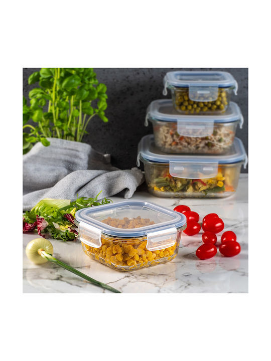 Kadax Glass Lunch Box Transparent 520ml