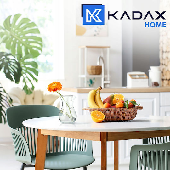 Kadax Glas aus Glas