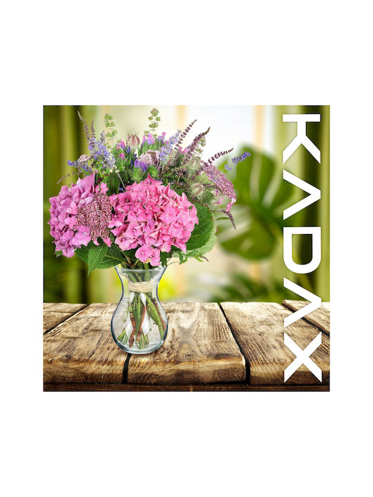 Kadax Set Gläser aus Glas 2Stück