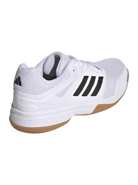 Speedcourt Sport Shoes Volleyball White
