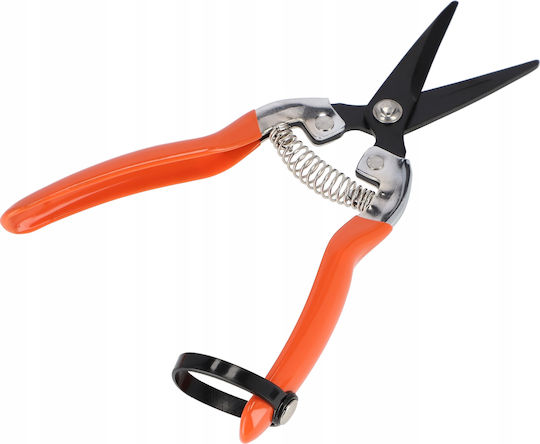 Kadax Ψαλίδι Τρύγου Μήκους 19cm