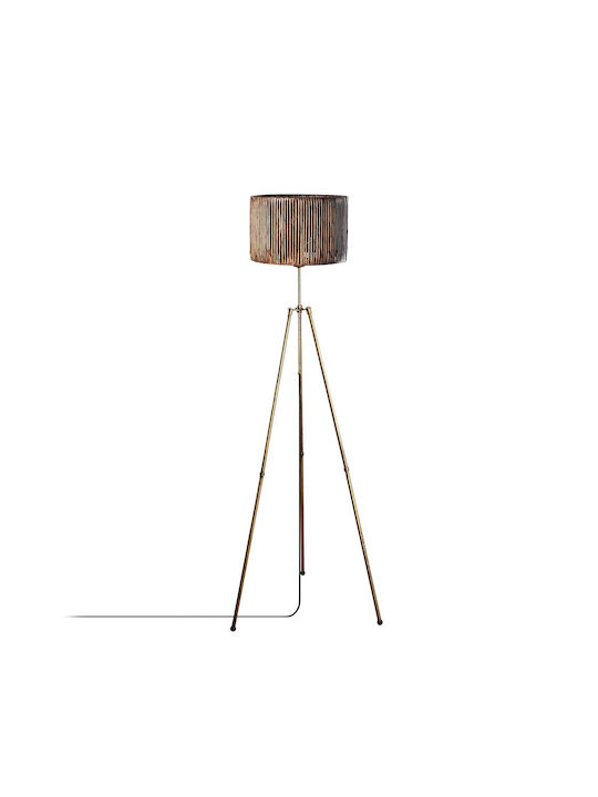 Floor Lamp H160cm. with Socket for Bulb E27 Gold