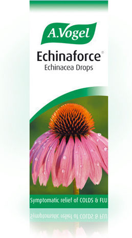 A.Vogel Βάμμα Echinaforce 50ml