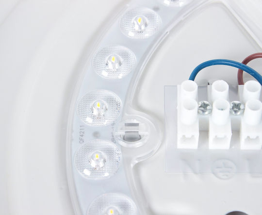 Greenie Deckenleuchte LED