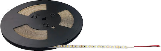 Greenie LED Лента 12V Студено бяло Светлина 25м Тип SMD2835