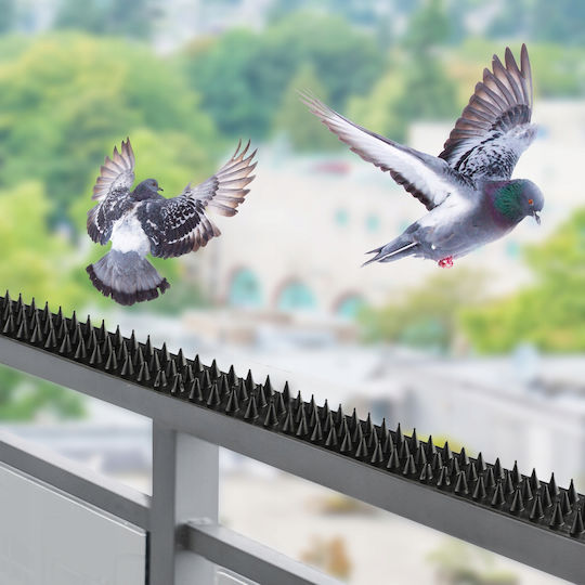 Kadax Abwehrspitzen Vögel / Katzen / Nagetiere 15x15m