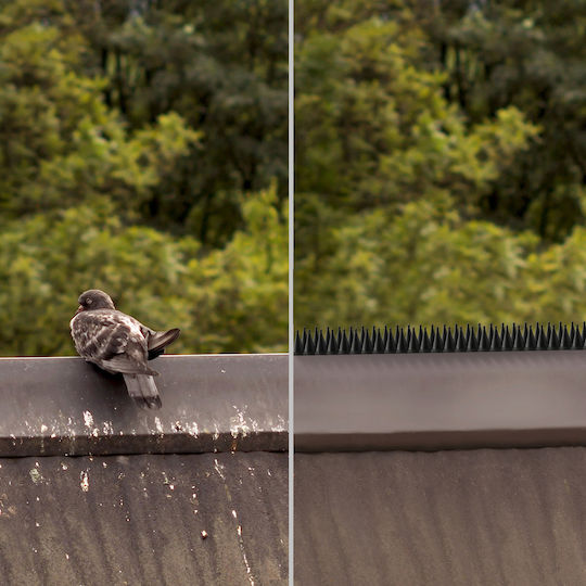 Kadax Abwehrspitzen Vögel / Katzen / Nagetiere 15x15m
