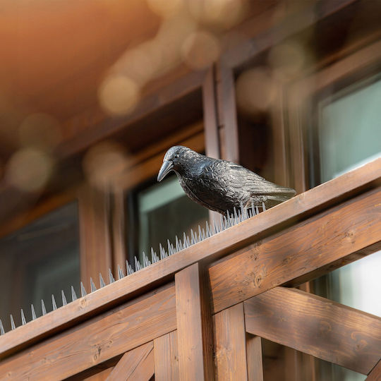 Kadax Abwehrspitzen Vögel