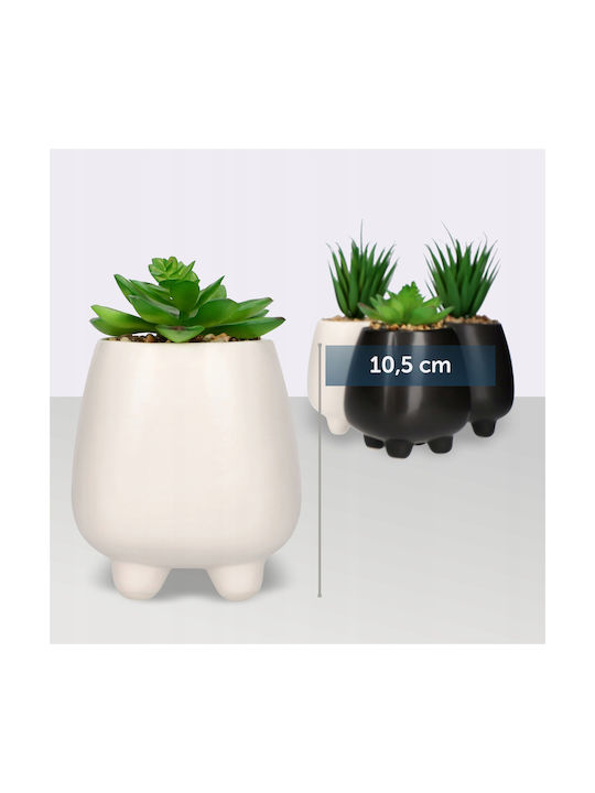 Plantă Artificială în Ghiveci Mic Planta suculentă White 10.5cm Kadax