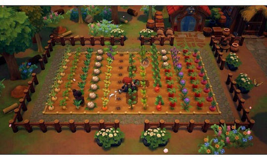 Fae Farm Switch Game