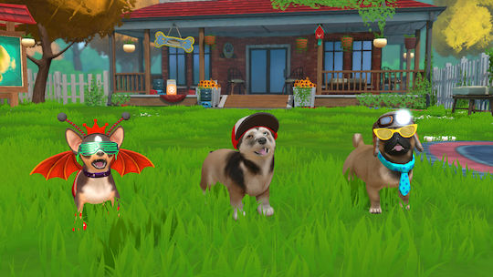 Little Friends: Puppy Island Joc pentru Switch