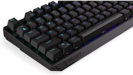 Endorfy Thock Ασύρματο Gaming Μηχανικό Πληκτρολόγιο Tenkeyless με Kailh Box Red διακόπτες και RGB φωτισμό (Αγγλικό US)