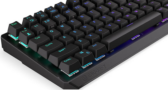 Endorfy Thock Wireless Gaming Mechanical Keyboard 75% with Kailh Box Red switches and RGB lighting (English US)