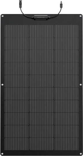 EcoFlow Ηλιακό Panel Φορτιστής 100W (Φορητών Συσκευών) (5006001002)