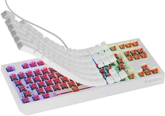 Genesis Thor 230 TKL Gaming Mechanical Keyboard Tenkeyless with Outemu Red switches and RGB lighting (English US) White