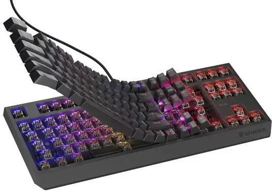 Genesis Thor 230 TKL Gaming Mechanical Keyboard Tenkeyless with Outemu Brown switches and RGB lighting (English US)