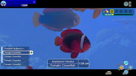 Endless Ocean Luminous Switch Game