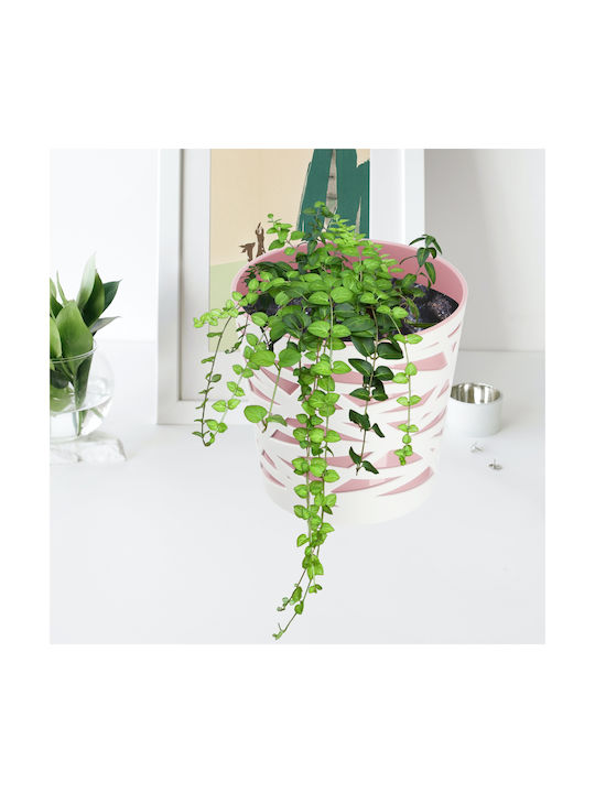 Ghiveci de Flori Kadax, Inserție din Plastic pentru Plante, 19 cm, Roz