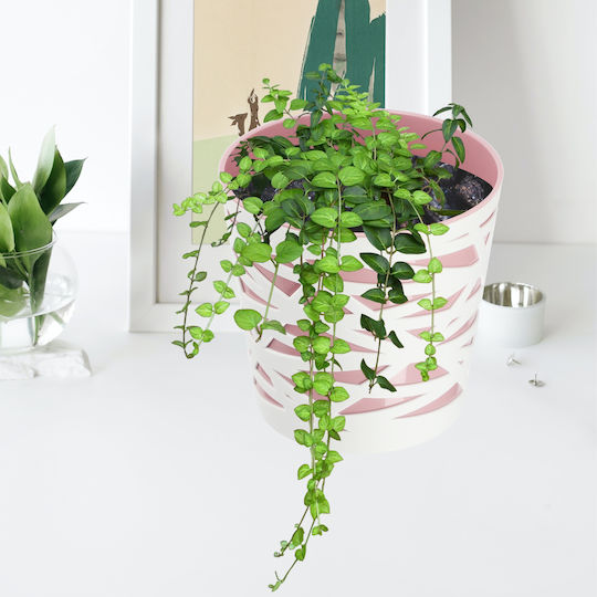 Kadax Flower Pot Plastic Planter Insert Flowers Plants 19 Cm Pink