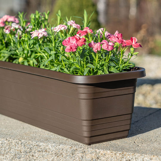Kadax Balkon Blumenkasten 60cm Mocha Pflanzkasten