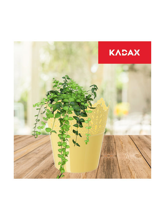Kadax Flower Pot 14.5cm Colors Kadax Flower Pot 14.5cm Colors