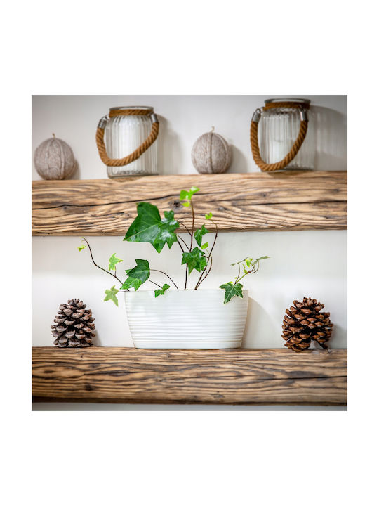 Kadax Flower Pot 27cm Oval Planter Plastic Cream Kadax Flower Pot 27cm Oval Planter Plastic Cream