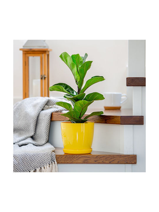 Kadax Blumentopf Abdeckung Gelb 28cm